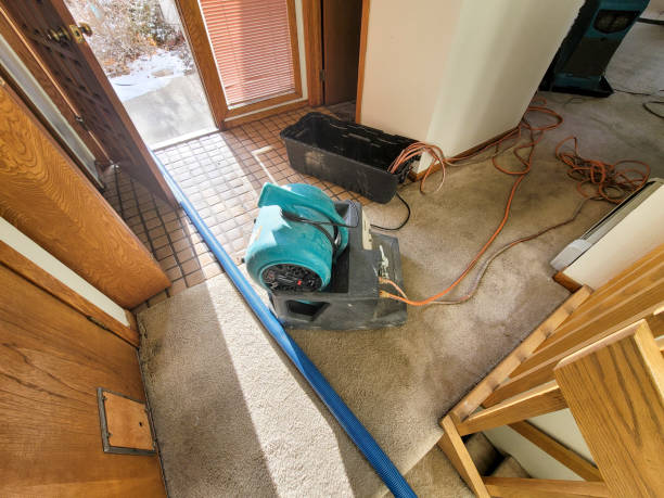 Best Commercial water damage restoration  in Whitehall, MI